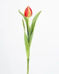[9732] Tulip Bud (Alternative 3)