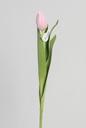 [9728-1] Tulip Bud (Alternative 5)