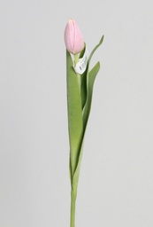 [9728-1] Tulip Bud (Alternative 5)