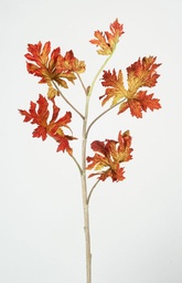 [6973] Pelargonia Leaf (Alternative 2)