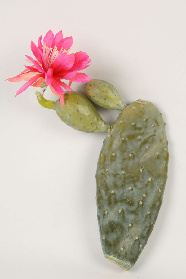Cactus Night Blooming
