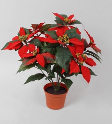 [672-1] Poinsettia (Alternative 1)