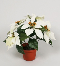 [673-3] Poinsettia (Alternative 3)