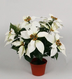 [672-3] Poinsettia (Alternative 4)