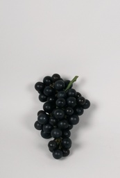 [6952] Grape (Alternative 2)