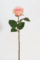 [7215] Rose (Alternative 2)