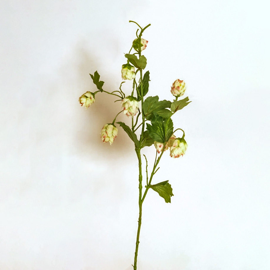 Hop Flower