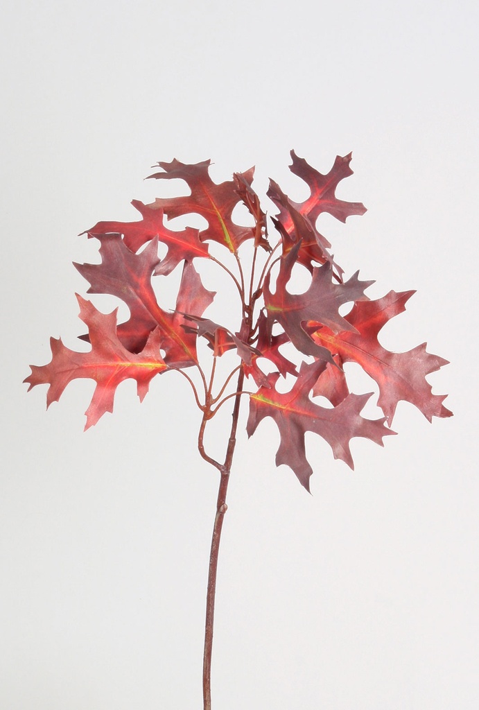Antler Leaf