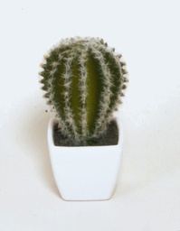 [8100] Mini Cactus (Alternative 1)