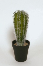[8102] Cactus (Alternative 1)