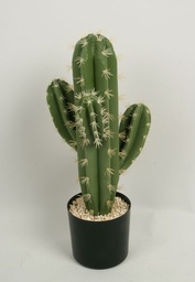 [8125] Cactus (Alternative 1)