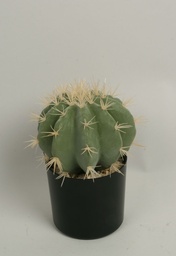 [8124] Cactus Round (Alternative 2)