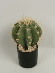 [8132] Cactus Round (Alternative 4)