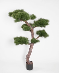 [1198-150] Pine Tree (Alternative 1)
