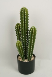 [8130] Cactus (Alternative 2)