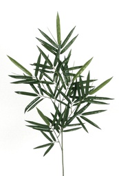 [89m] new bamboo (Alternative 1)