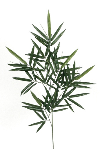 new bamboo