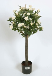 [09-080-12] Rose Tree (Alternative 3)