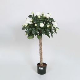 [1202-080-23] Lady Rose Tree (Alternative 1)