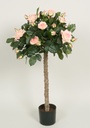 [1202-080-03] Lady Rose Tree (Alternative 2)