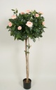 [1202-140-03] Lady Rose Tree (Alternative 5)