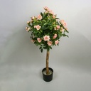 [09-110-09] Rose Tree (Alternative 5)