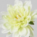 [9267-1] Dahlia (Alternative 4)