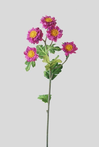 Gerbera Daisy Spray