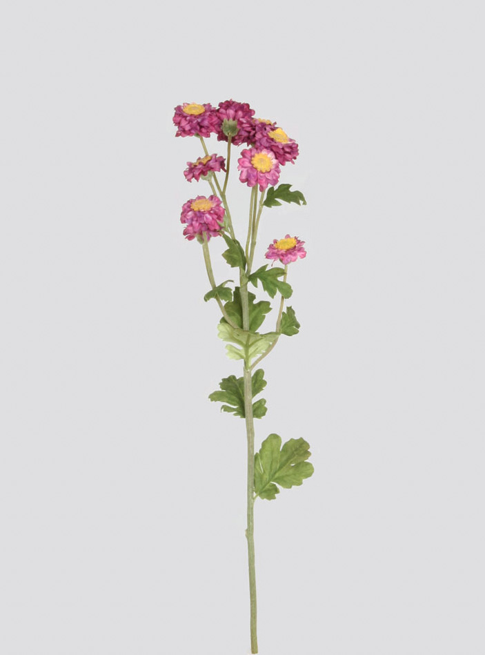 Gerbera Daisy Spray
