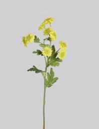 [6819] Gerbera Daisy Spray (Alternative 2)