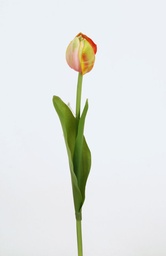 [7093-3] Tulip (Alternative 1)