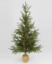 [655-90] Picea Tree Small (Alternative 2)