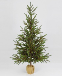 [655-90] Picea Tree Small (Alternative 2)