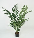 [1256-090] Parlour Palm (Alternative 2)
