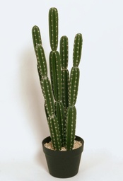 [8106] Cactus (Alternative 1)