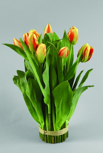 Tulip Bundle