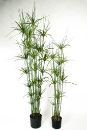 [1084-140] Papyrus (Alternative 1)