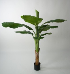[1272-140] Banana Palm (Alternative 1)
