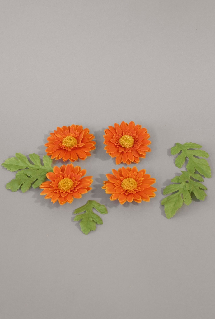 Floating Gerbera