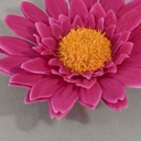 [622e] Floating Gerbera (Alternative 2)