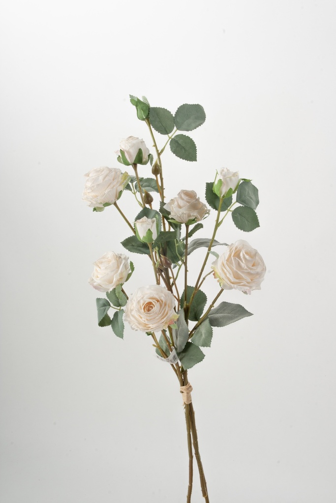 Rose Bundle