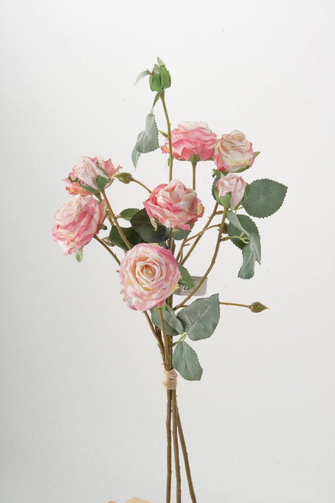 Rose Bundle