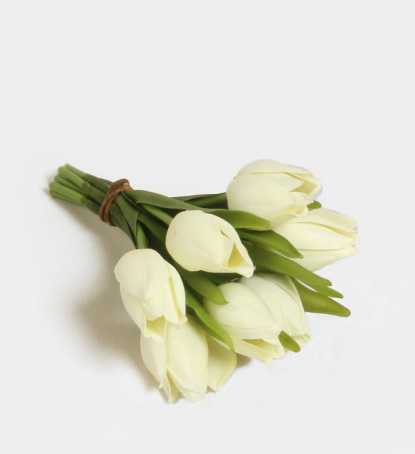 Tulip Bundle