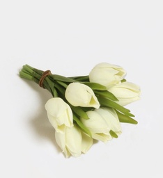 [7188] Tulip Bundle (Alternative 1)