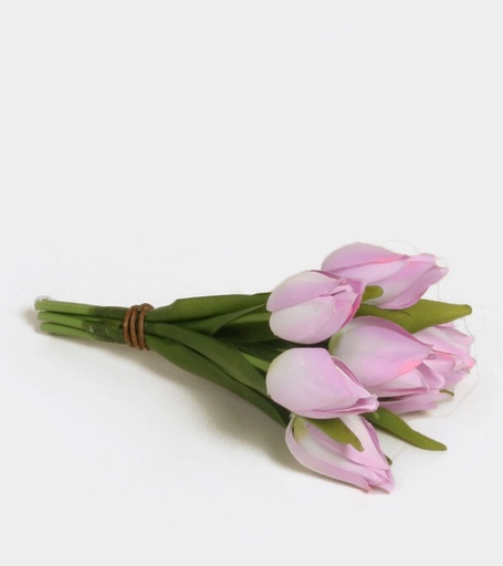 Tulip Bundle