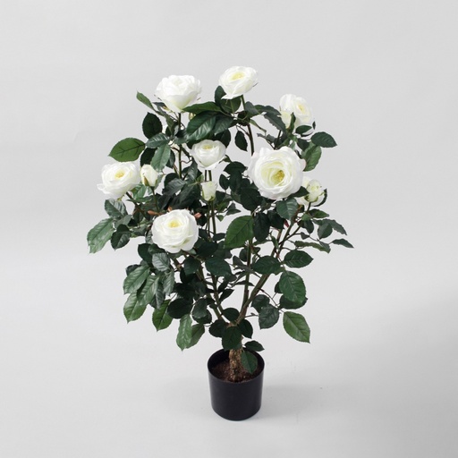 Rose Tree