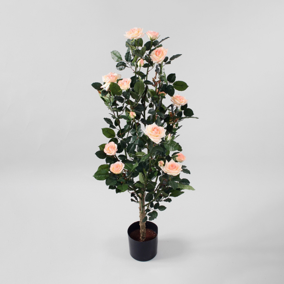Rose Tree