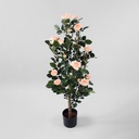 [146-12003] Rose Tree (Alternative 2)