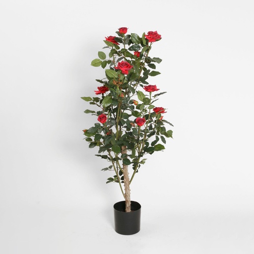Rose Tree