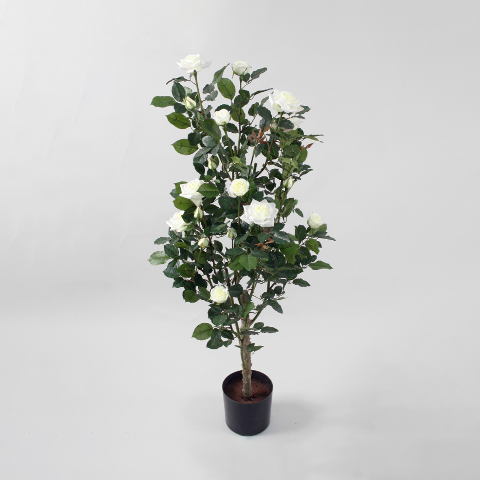 Rose Tree